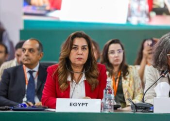 وزيرة التنمية المحلية تشارك في المائدة الوزارية المستديرة بعنوان ” الحوكمة متعددة المستويات 