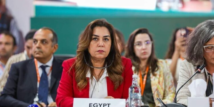 وزيرة التنمية المحلية تشارك في المائدة الوزارية المستديرة بعنوان ” الحوكمة متعددة المستويات 