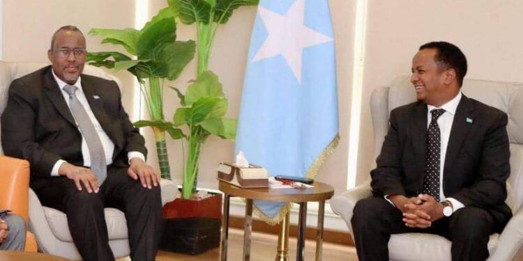 النائب الثاني لرئيس الوزراء الصومالي يقوم بزيارة سفارة مقديشيو بالقاهرة