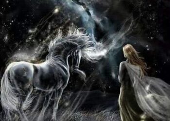 “نافذة ضيى بدعاء”