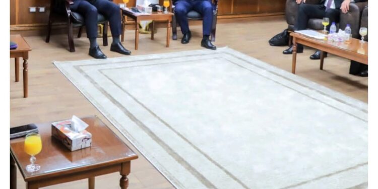 مناقشة التحديات وخطط العمل المستقبلية لعام 2025 بمشروع محطة الضبعة النووية خلال إجتماع موسع رفيع المستوى