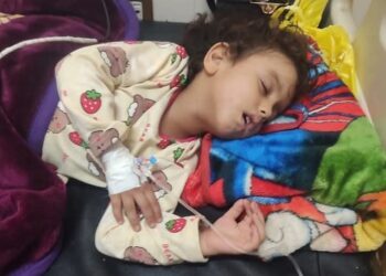 نداء الى من يهمه الامر: ساجده بنت البحيرة لم يرحمها الذئب البشري