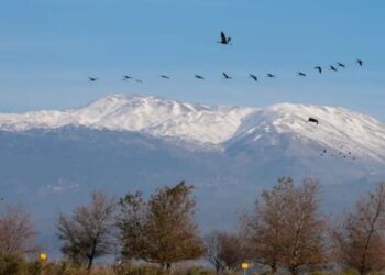 هضبة الجولان مفتاح الحلم الصهيوني