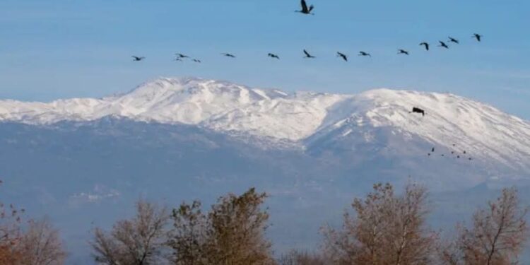 هضبة الجولان مفتاح الحلم الصهيوني