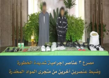 الجيزة:ضبط تشكيل عصابي تخصص فى الاتجار بالمواد المخدرة وبحوزته 46 كيلو جرام مخدرات 