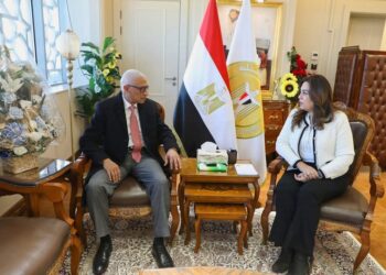 وزيرة التنمية المحلية تبحث مع محافظ شمال سيناء الموقف التنفيذي للمشروعات التنموية والخدمية 