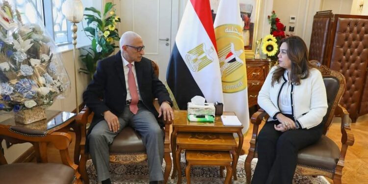 وزيرة التنمية المحلية تبحث مع محافظ شمال سيناء الموقف التنفيذي للمشروعات التنموية والخدمية