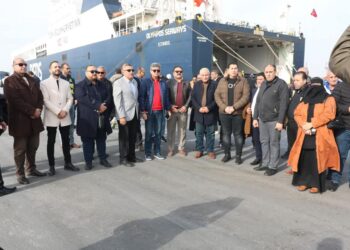 ما لا تعرفه عن خط-الرورو(دمياط-تريستا)