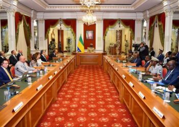 وزير الخارجية والهجرة يشارك في ملتقى الأعمال المصري-الجابوني لتعزيز التعاون الاقتصادي