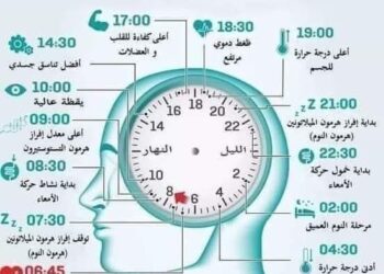 الساعة البيولوجية لجسم الإنسان