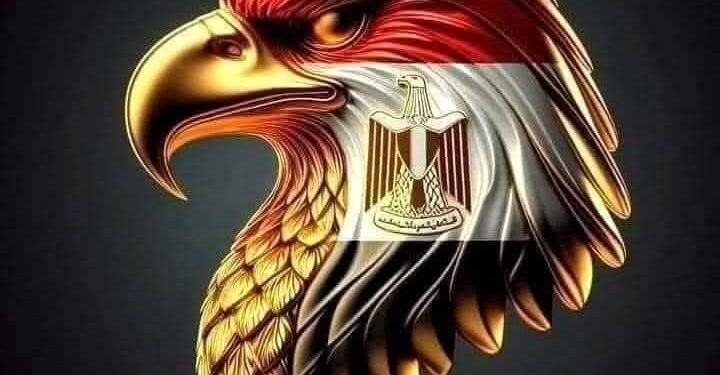 الأوطان تحتاج إليه المخلصين من أبنائها