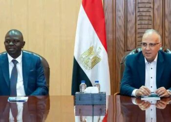 وزير الري يؤكد حرصه على تعزيز التعاون مع نيجيريا في إدارة الموارد المائية