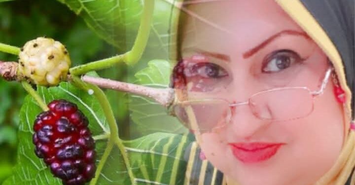 شجرة التوت و قارئة الفنجان