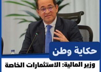 وزير المالية: الاستثمارات الخاصة زادت في مصر 80% سنويا