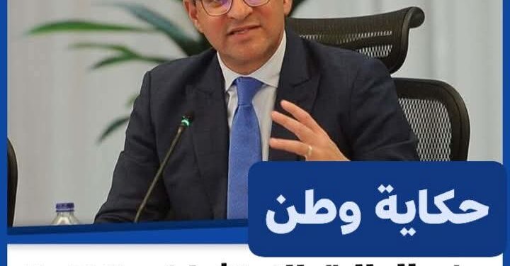 وزير المالية: الاستثمارات الخاصة زادت في مصر 80% سنويا