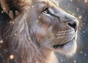 أغلقت تلك النافذة 