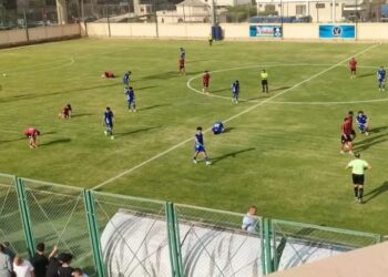 نتائج مباريات اليوم في دوري المحترفين   وادي دجله يواصل نزيف النقاط والمقاولون يحقق فوزا مهما على طنطا