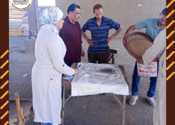 الجيزة تواصل جهودها لضمان نجاح موسم توريد القمح وتوفير بيئة داعمة للمزارعين”