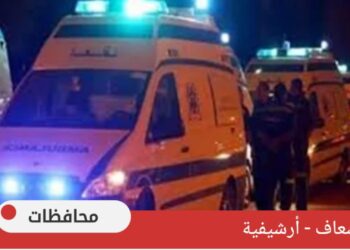 شاب يطعن طبيبًا تسبب في وفاة زوجته داخل مبنى النيابة بالاقصر