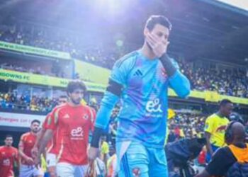 واقعية الأداء تمنح الاهلي المصري تعادل إيجابي بجنوب أفريقيا