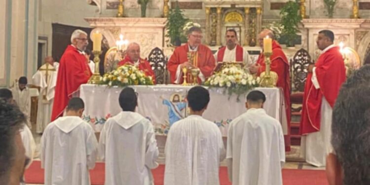 محافظ الإسكندرية وقامات المجتمع المدني يشاركون في عزاء البابا فرنسيس بابا الفاتيكان