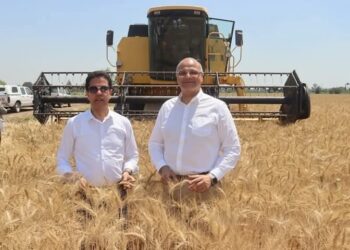 محافظ القليوبية برفقة رئيس جامعة بنها يفتتحان موسم حصاد القمح بكلية الزراعة بمشتهر 