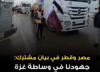 الخارجية المصرية:استمرار جهود مصر و قطر لإنهاء الأزمة الإنسانية في غزة