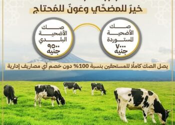 الأوقاف تطلق حملة صكوك الأضاحي بالتعاون مع وزارتي التموين والتجارة الداخليه 