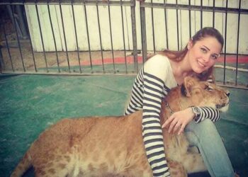 إحالة أنوسة كوته مدربة الأسود للمحاكمة في واقعة عامل السيرك ضحية النمر المفترس