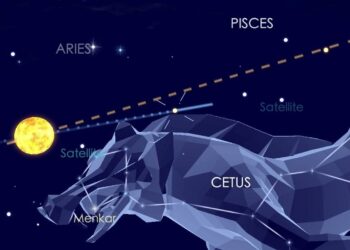 “حديث الفللك، الباحثة الفلكية/سحر حسن منصور