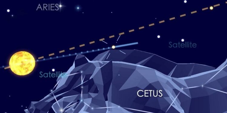 “حديث الفللك، الباحثة الفلكية/سحر حسن منصور