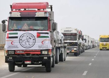 الدبلوماسية الإماراتية: إدخال أول شحنة مساعدات إنسانية لغزة بعد أكثر من 80 يوماً من الانقطاع