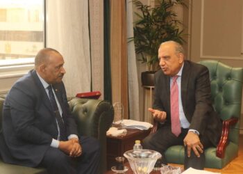  وزيرا الكهرباء بمصر والسودان يبحثان سبل تعزيز الشراكة فى مجالات الكهرباء وإعادة بناء وتأهيل الشبكات