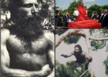 أفكار بصوت مرتفع تكتبها زينب كاظم “من هو طرزان؟”