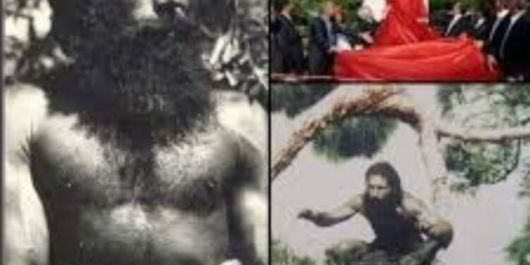 أفكار بصوت مرتفع تكتبها زينب كاظم “من هو طرزان؟”