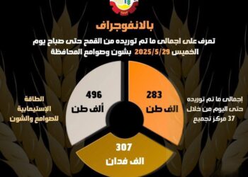 تزامنا مع نتهاء موسم الحصاد إرتفاع مؤشر التوريدات  ل٢٨٣ ألف طن قمح مورَّد للشون والصوامع بالبحيره