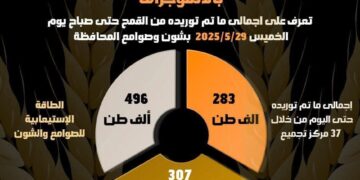 تزامنا مع نتهاء موسم الحصاد إرتفاع مؤشر التوريدات  ل٢٨٣ ألف طن قمح مورَّد للشون والصوامع بالبحيره
