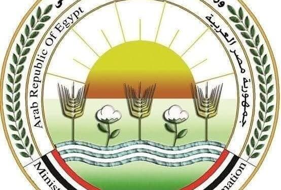 الزراعة” تنفي بيع المبنى القديم للوزارة لمستثمر خليجى