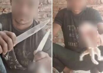 الأمن يلقي القبض على شاب قام بذبح قطه خلال بث مباشر