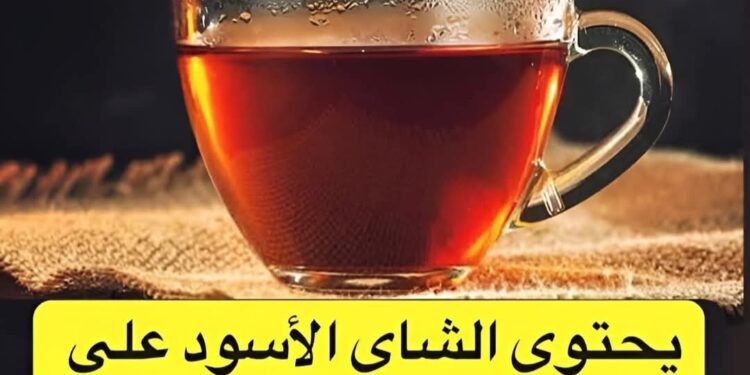 الشاي الأسود وعناصر أخرى تساعد على تعزيز صحة الشيخوخة