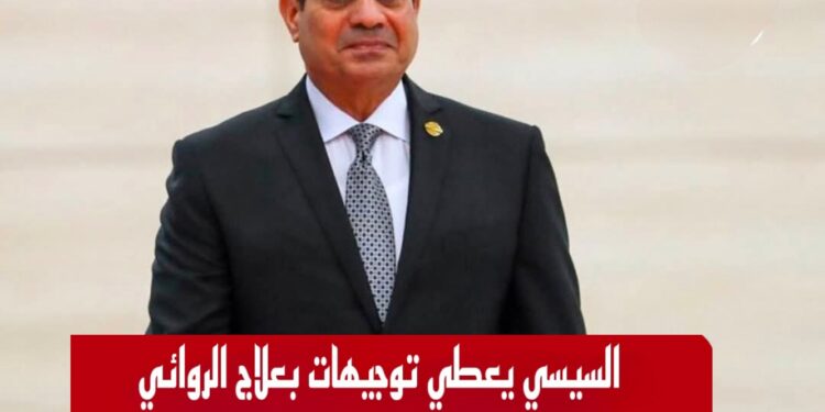 توجيهات السيد الرئيس بإتخاذ كافة الإجراءات اللازمة لعلاج الروائي صنع الله إبراهيم