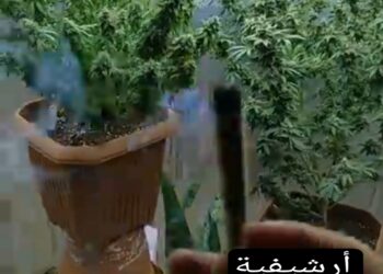 القبض على شخص وزوجته بتهمة الإتجار في المخدرات بالإسكندرية