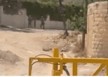 قوات الإحتلال الإسرائيلي تطلق النار عاى وفد دبلوماسي  عند المدخل الشرقي لمخيم جنين