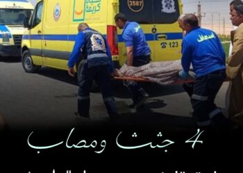 مصرع اربع شباب وإصابة اخر في حادث تصادم طريق إدفو مرسي علم 