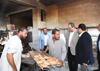 محافظ قنا يتفقد المخابز ومنافذ بيع اللحوم ويفاجئ مستشفى حميات نجع حمادي 