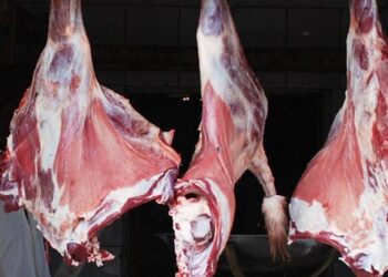 كيف تأكل اللحم دون أن تؤذي صحتك؟