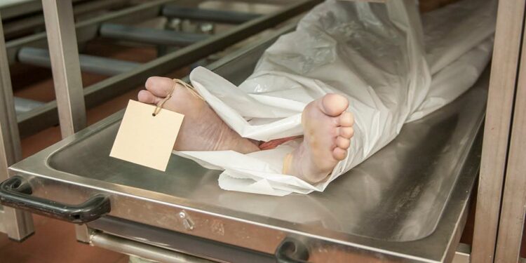 جريمه قتل مروعه بعيد الاضحي المبارك شاب يقتل والده طعنا بمحافظه المنيا