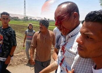 إصابة مسؤول أثناء إزالة تعديات على أرض زراعية بسوهاج 