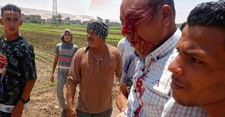 إصابة مسؤول أثناء إزالة تعديات على أرض زراعية بسوهاج 