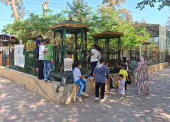 38 ألف زائر خلال أول ايام العيد لحدائق الحيوان الإقليمية والأسماك بالزمالك
